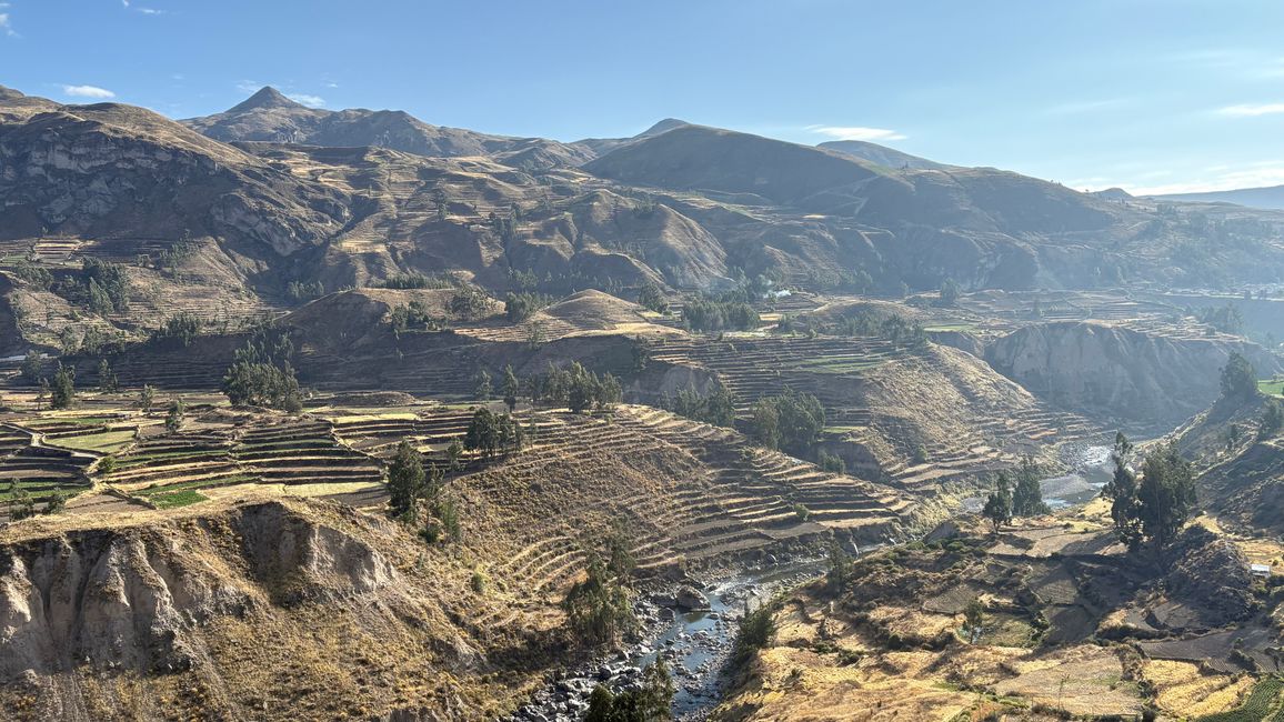 Perù_2025 - Giorno 9: Canyon del Colca e Croce del Condor