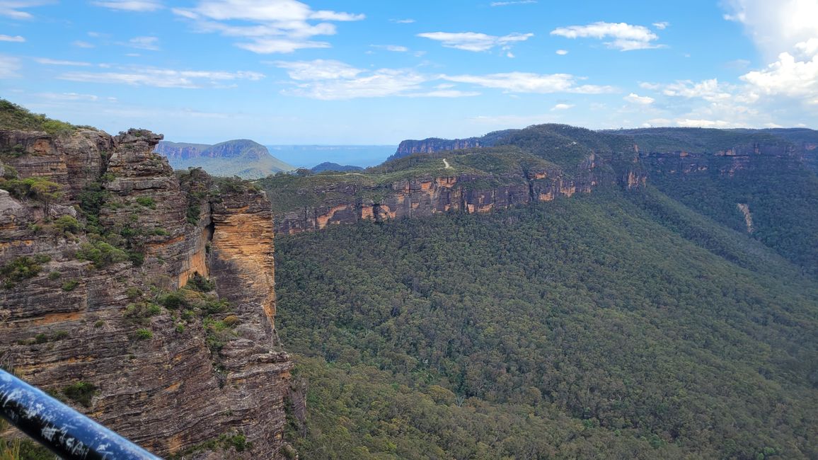 Blue Mountains – Eukalyptusbäume locken nicht nur Koalas an