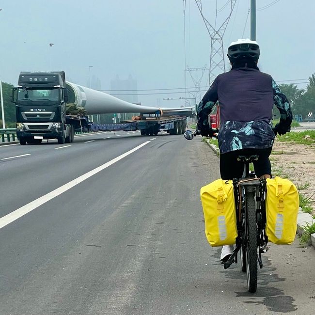 Ein "dicker" Geisterfahrer der etwas anderen Art blockiert die Straße