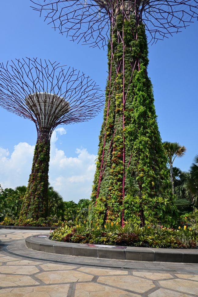 Garden by the bay