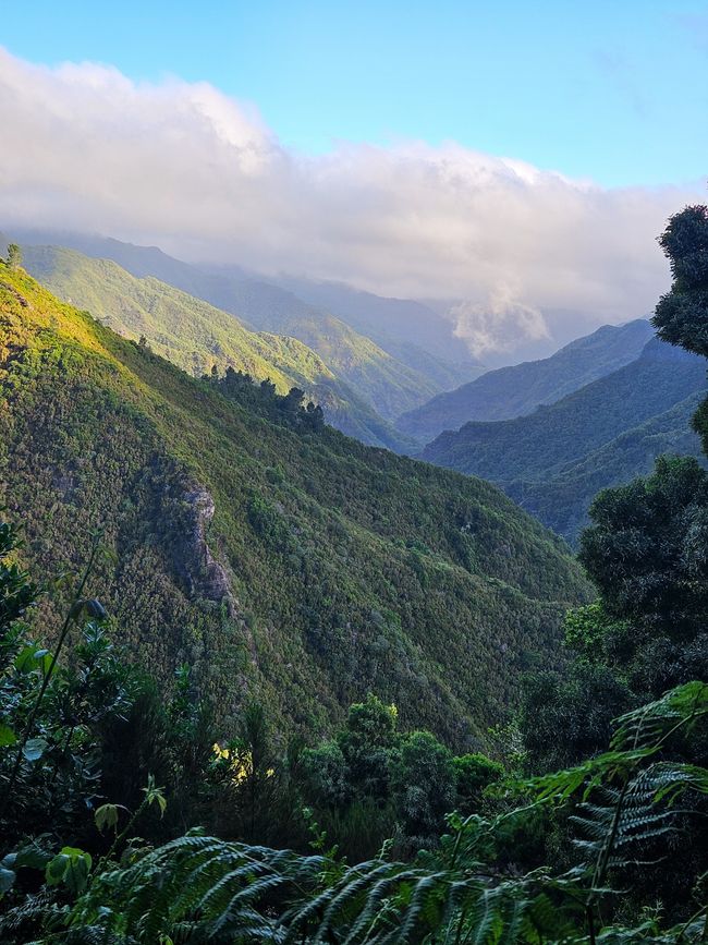 Tag 10: Levada das 25 Fontes und Risco & Feenwald