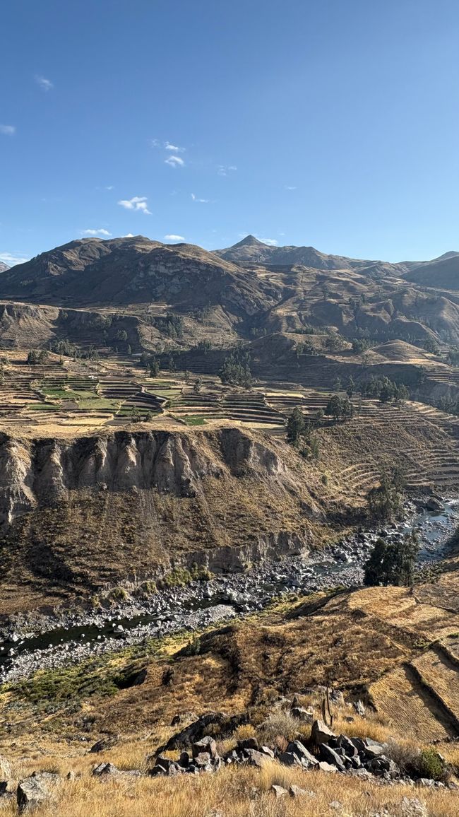 Perù_2025 - Giorno 9: Canyon del Colca e Croce del Condor