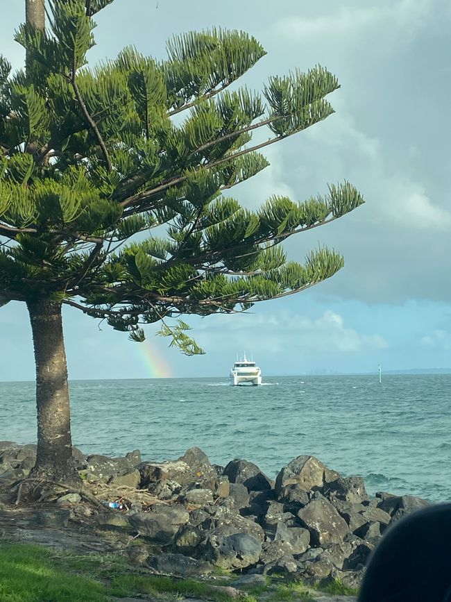 De whangarei à auckland