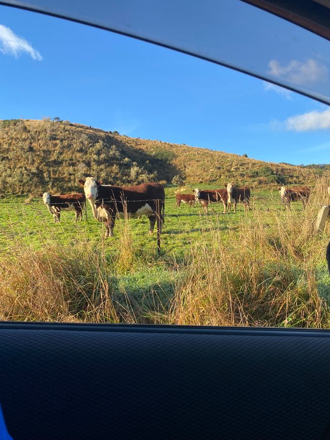 Von den Bergen ans Meer