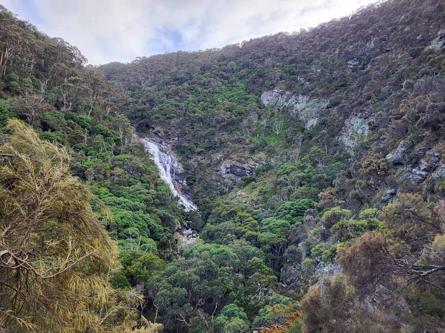 Cascate di Carisbrook