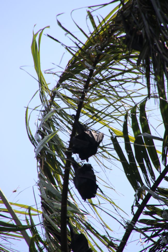 Day 27: On the road in Litchfield National Park