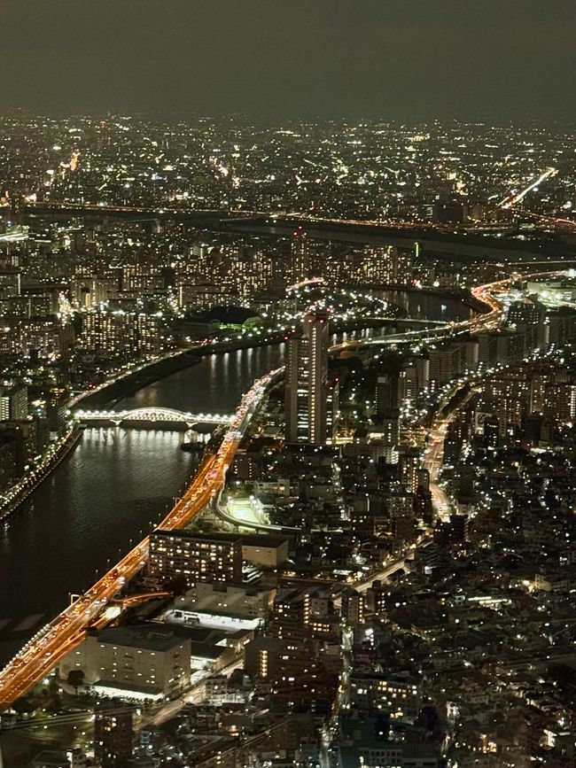 Parte 7
BENVENUTO IN GIAPPONE 🇯🇵
TOKYO