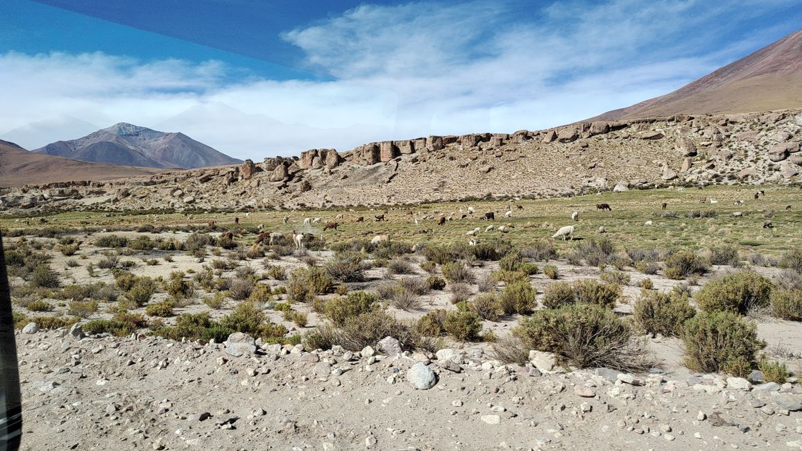 Bolivia, Tour de Lagunas
