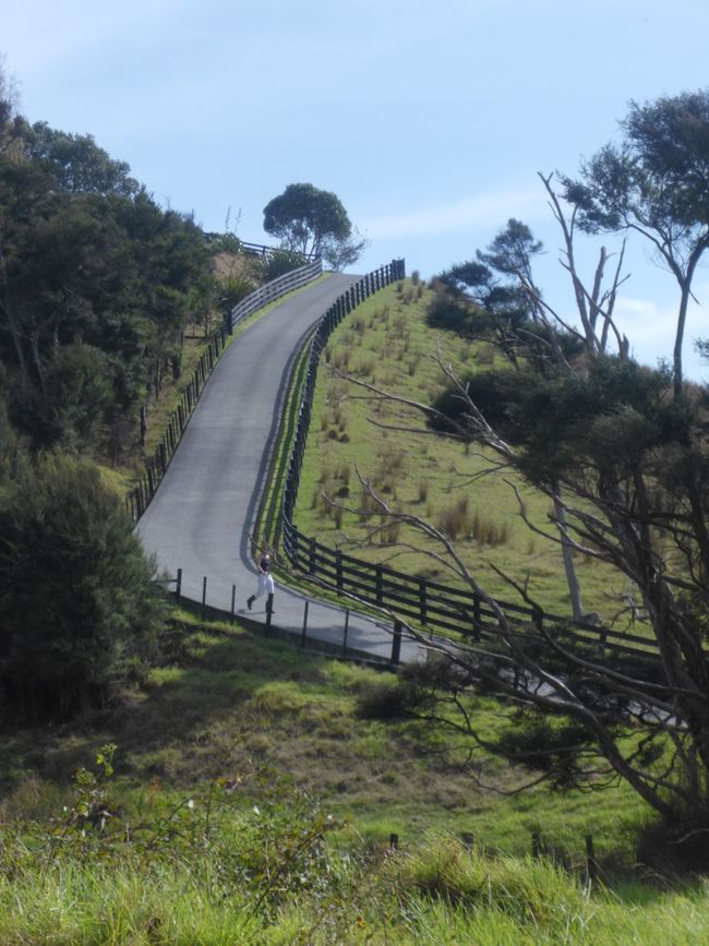2025-04-15 Dargaville