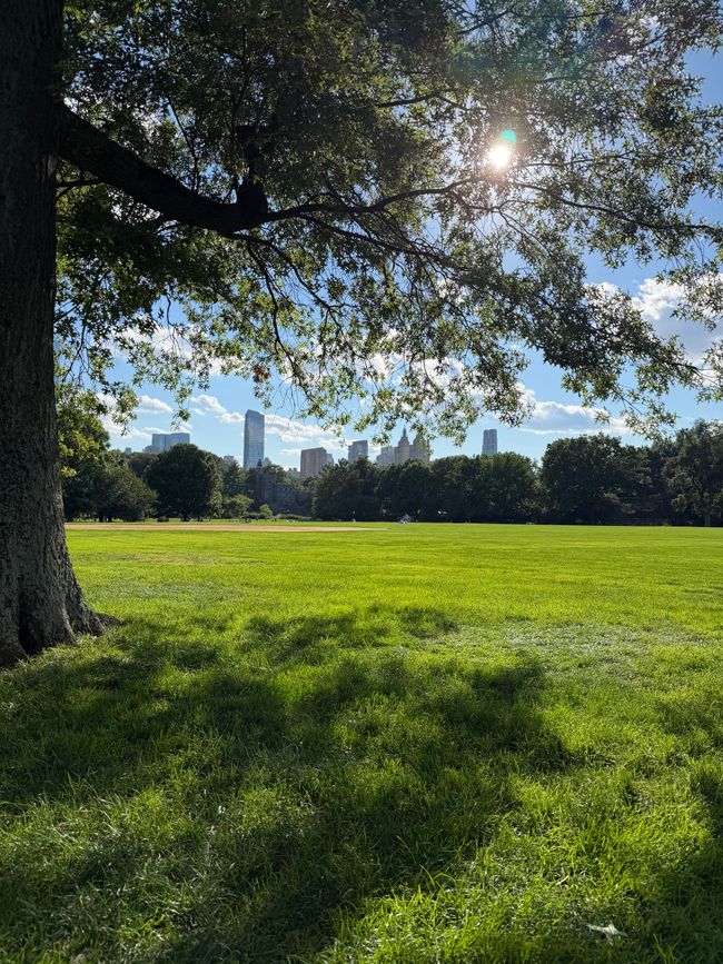 Central Park