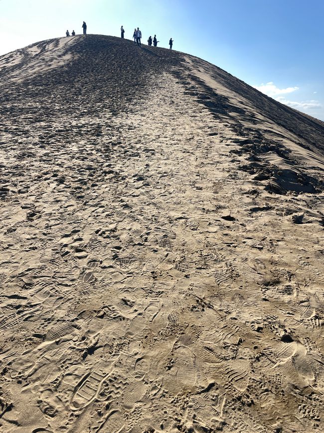 28. Kapitel: Ausflug in die japanische Wüste und ein verhinderter Kamelritt