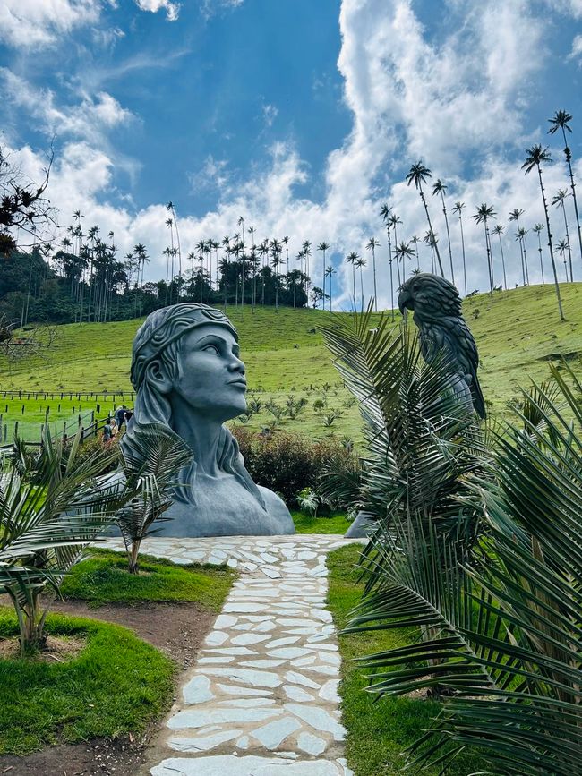Día 4: Valle de Cocora 🌴, Salento 🏘️, Plantación de café ☕️