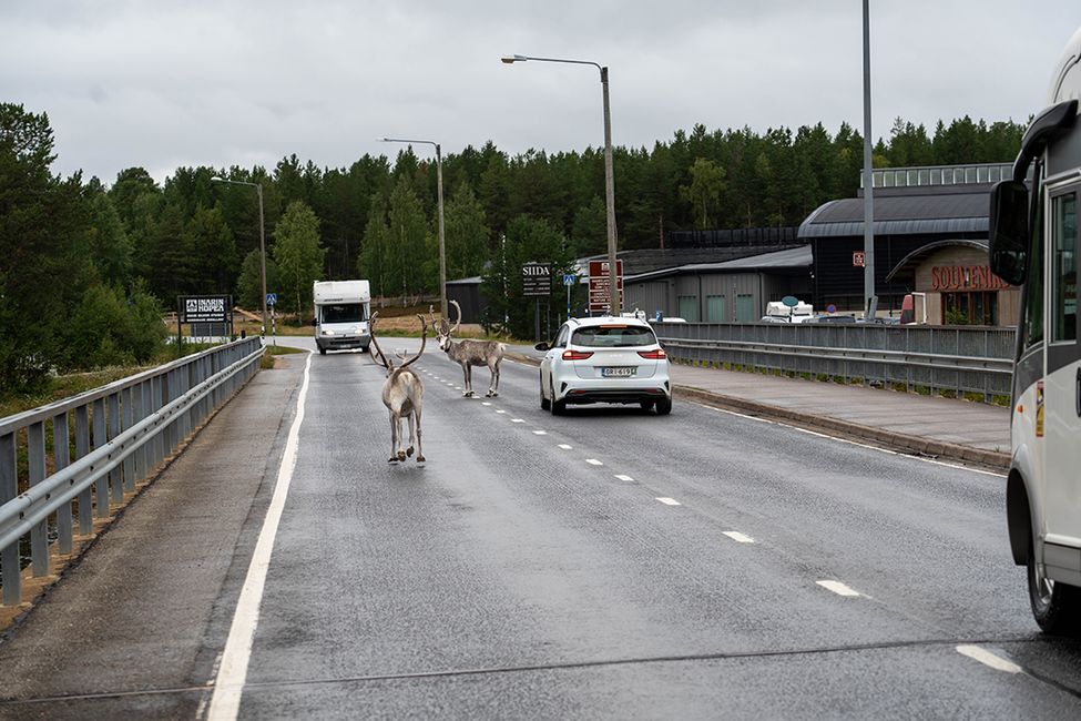 Farewell to Finland – Between Rain, Sauna, and Sámi Culture