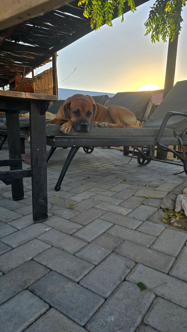 In die Berge ⛰️