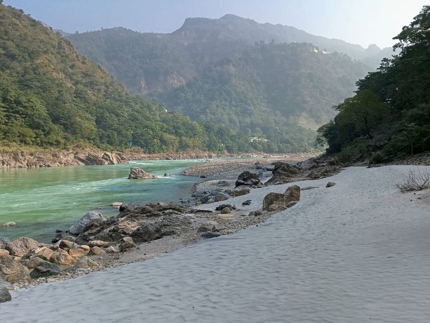 Yoga in Rishikesh