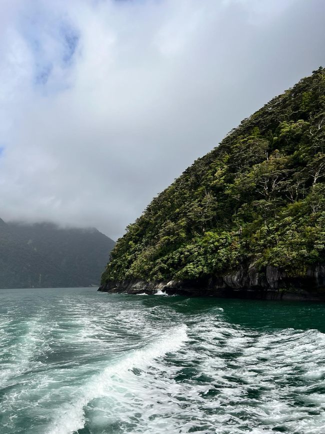 Boat trip through Milford Sound