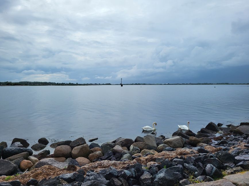 Promenade Burgtiefe Südstrand 