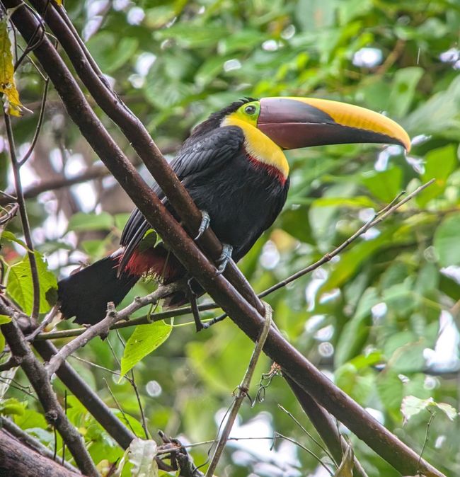 Costa Rica 2025