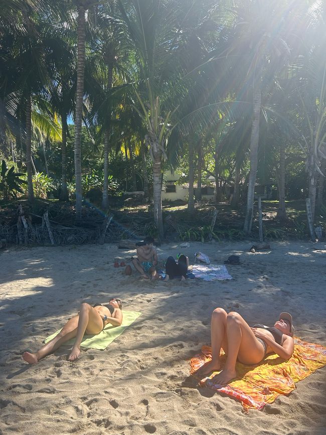 Sayulita und Puerto Vallarta… Vorweihnachtszeit