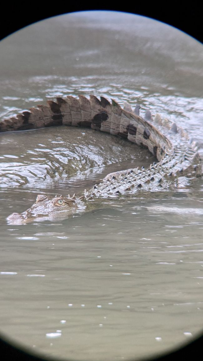 Costa Rica 2025