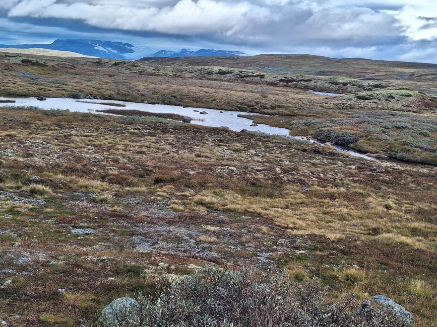 Vista del glaciar Hardangerjøkulen