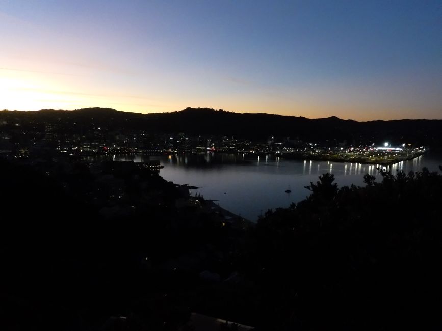 2025-03-25 NZ, l'Isola del Nord, Wellington