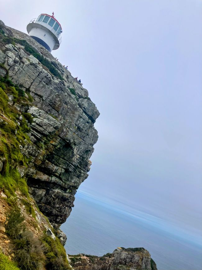 Kap-Halbinsel und Stellenbosch