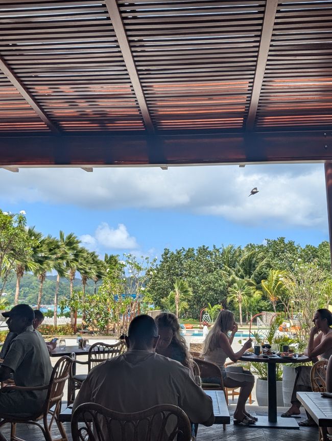 Aufgewacht im Paradies🏝️