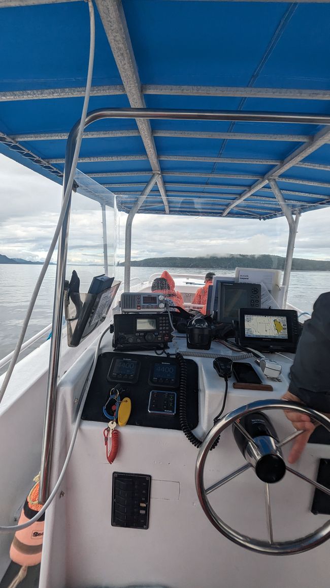 Tour de Observación de Ballenas de Seasmoke