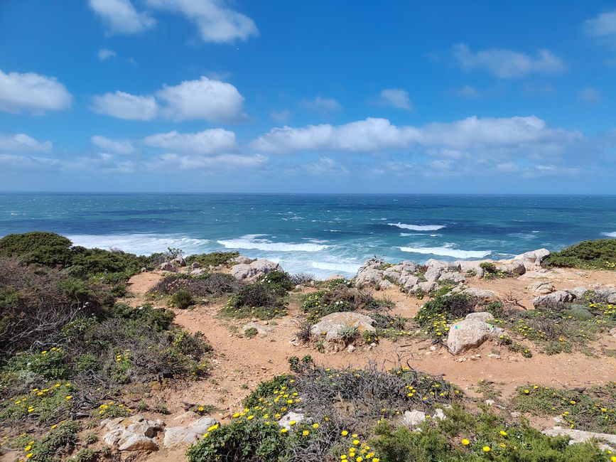 Sagres -> Vila do Bispo