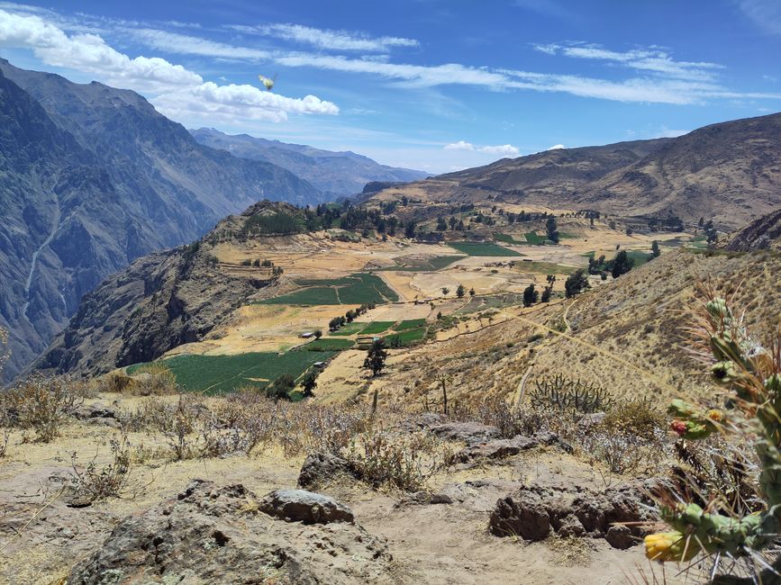 Arequipa: Beautiful Colca Canyon and the best almond peak in the world