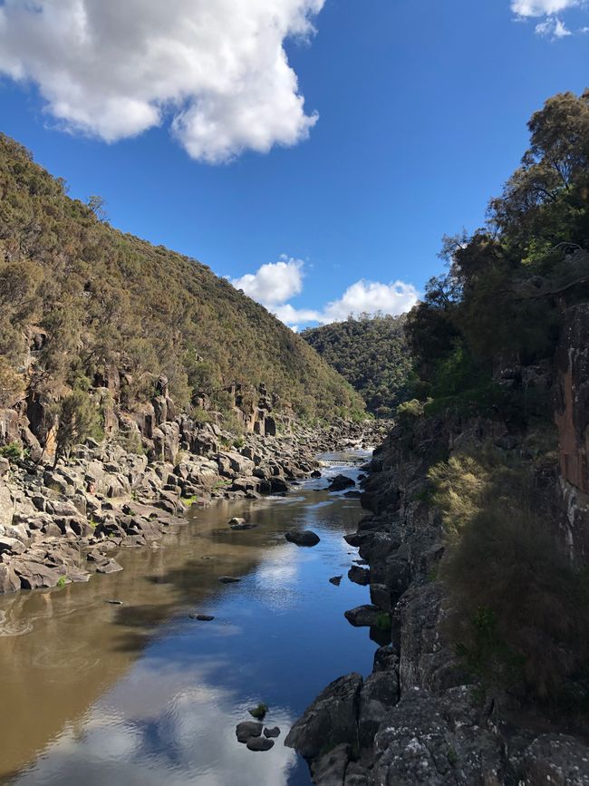 Tasmanien – Launceston und der Norden