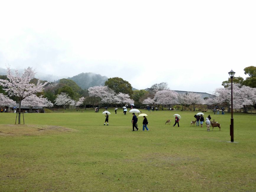 Yoshikien-Garden