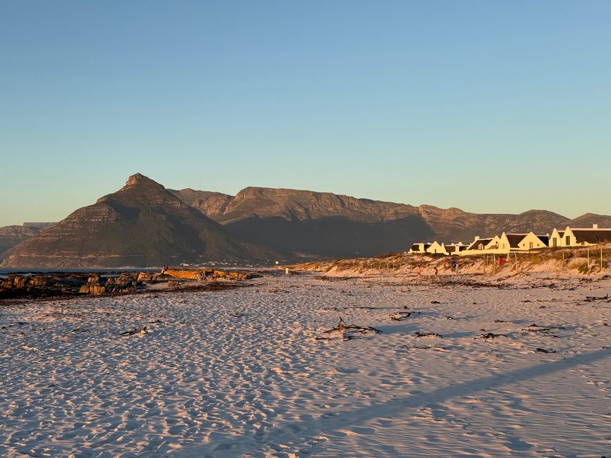 Afrique du Sud 🇿🇦Semaine 5