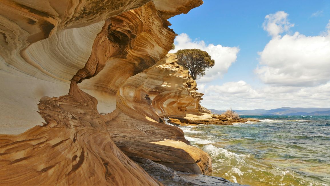 - Singapur & Tasmania 2019 -
