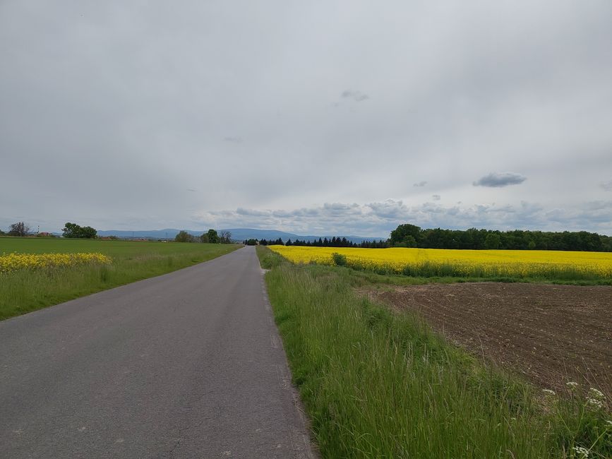 Ein weiterer Abschied