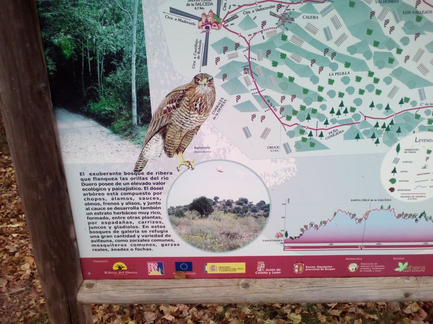 Picknickplatz Vadocondes (Ribera del Duero, Burgos) (Dezember 2021)