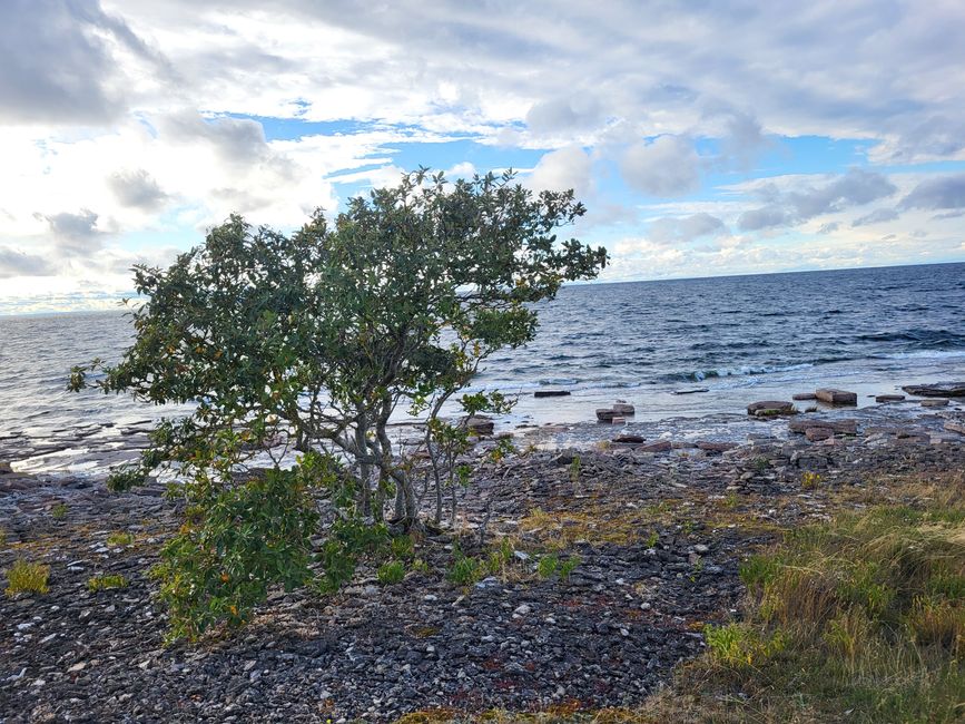 Ausblick von der Panoramastraße 