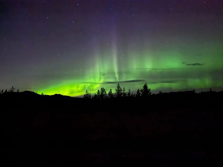 Northern Lights 