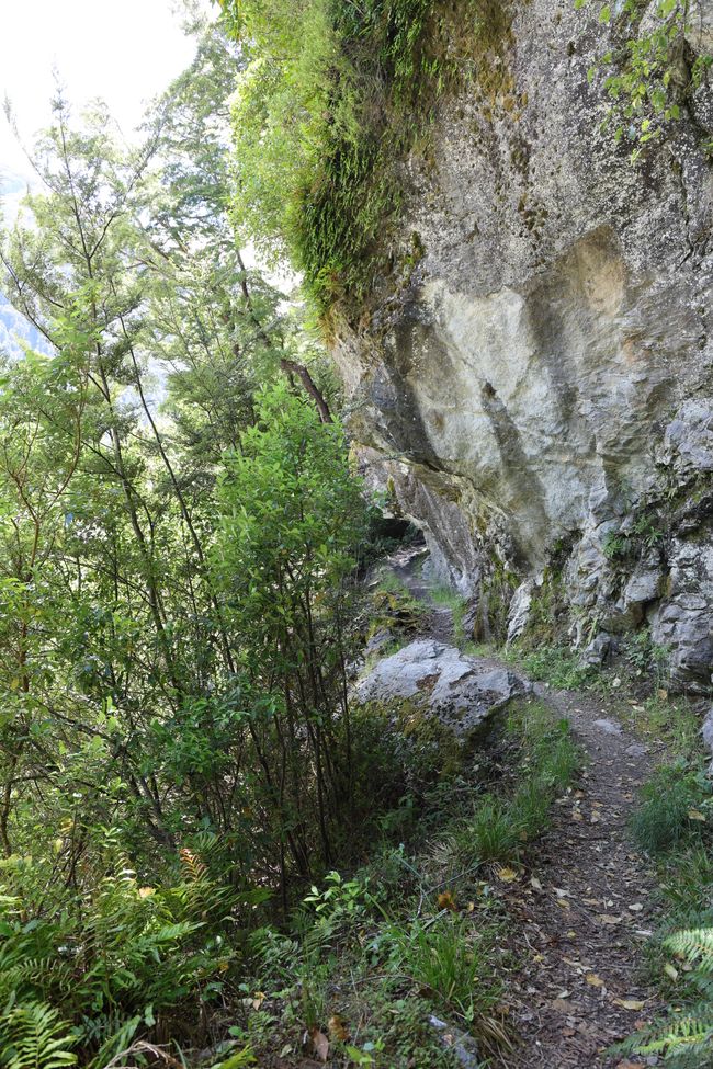 Auf nach Paradise zu "Herr der Ringe"