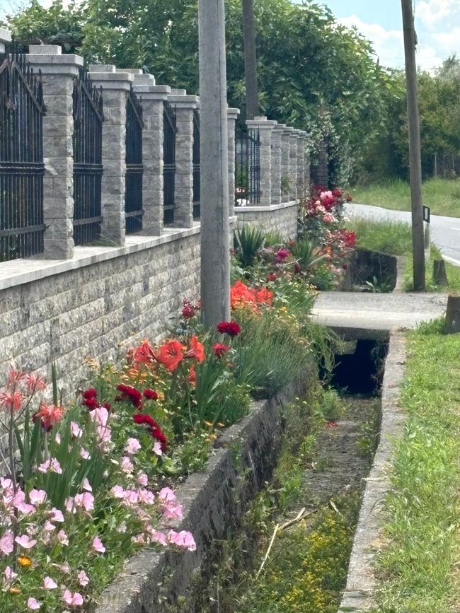 Auf nach Shkodra