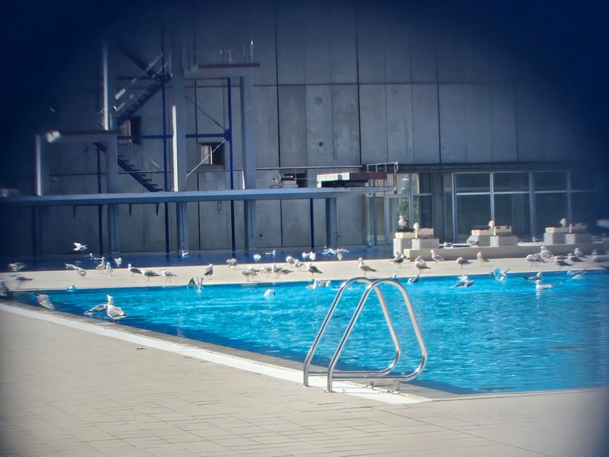 Piscina Municipal de Montjuïc