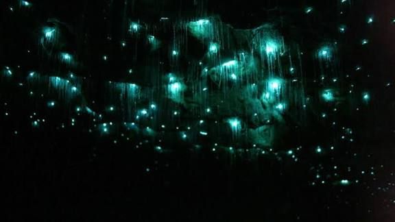 Spellbound-Glowworm-Tour 