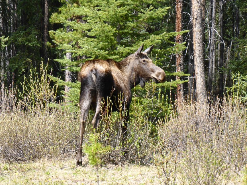 Western Canada