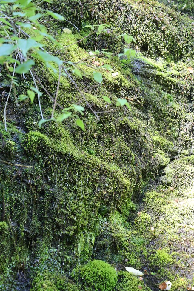 Auf nach Paradise zu "Herr der Ringe"