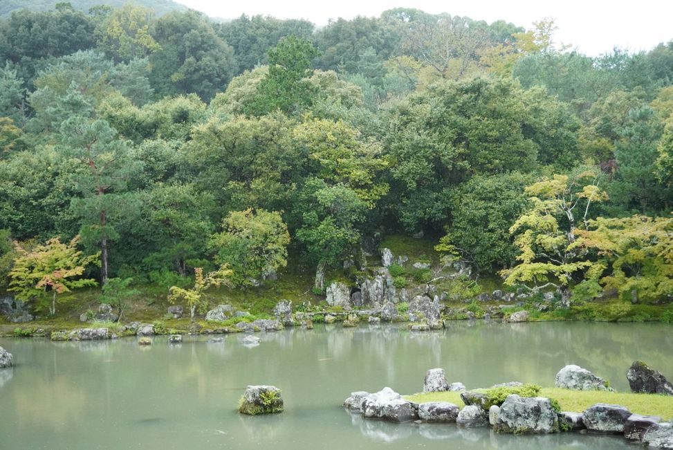 Gartenbesichtigung im regnerischen Kyoto