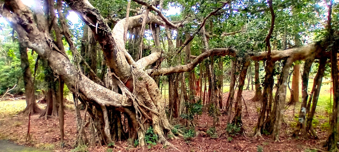 Parque Nacional Kenting