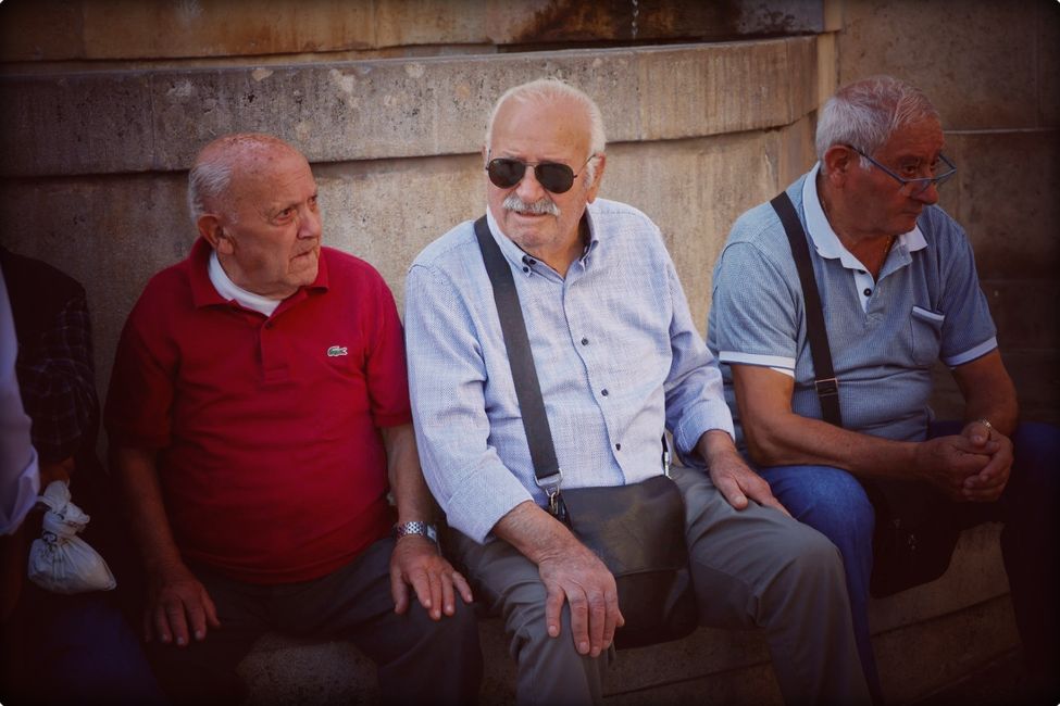 Italienische Feinheiten,
Grande Amore, Dolce Vita, Pasta& Pesto, Cane& Gatto