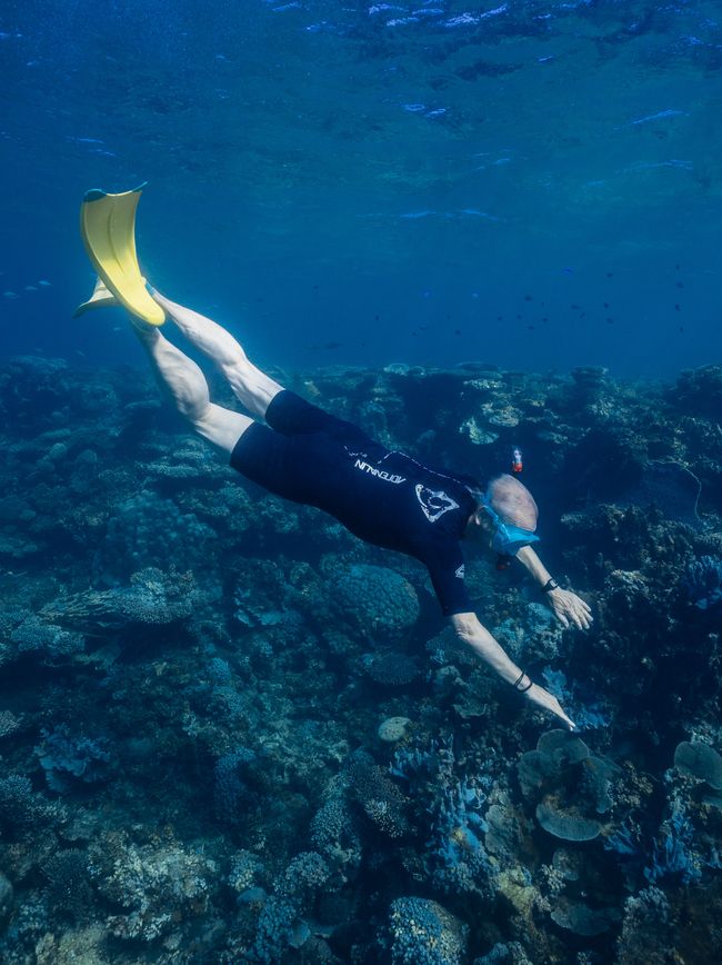 Snorkeling