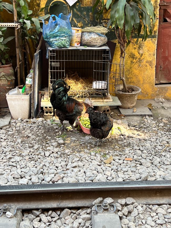 Hanoi-Tag 2: Überfüllte Läden, eine schwierige Challenge und das Abenteuer Train Street